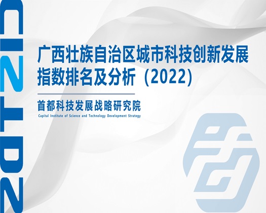 玩肥熟老妇BBw视频【成果发布】广西壮族自治区城市科技创新发展指数排名及分析（2022）